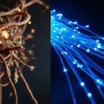 Why I Abandoned Microsoft Office for Powerful, Free Open-Source Alternatives—And Never Looked Back