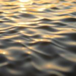 Why Your Most Productive Day Actually Begins the Night Before