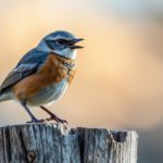 3900: Why Most Successful People Never Become Very Successful — The Leap Few Make