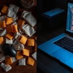 Could Listening to Birdsong Be the Small, Powerful Boost Your Mental Wellbeing Needs?