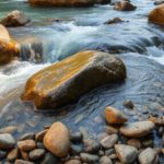 Why I Stopped Using Competitors as an Excuse for Having No Clients