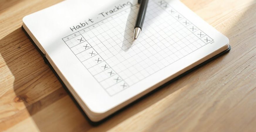 visible progress fuels habit discipline